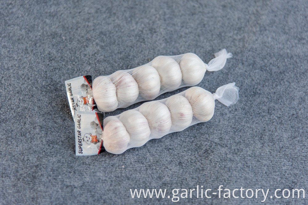 Supply Garlic New Season - cheap price